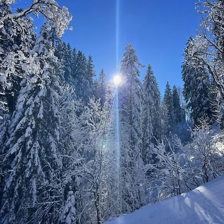 Staufen * Oberstaufen