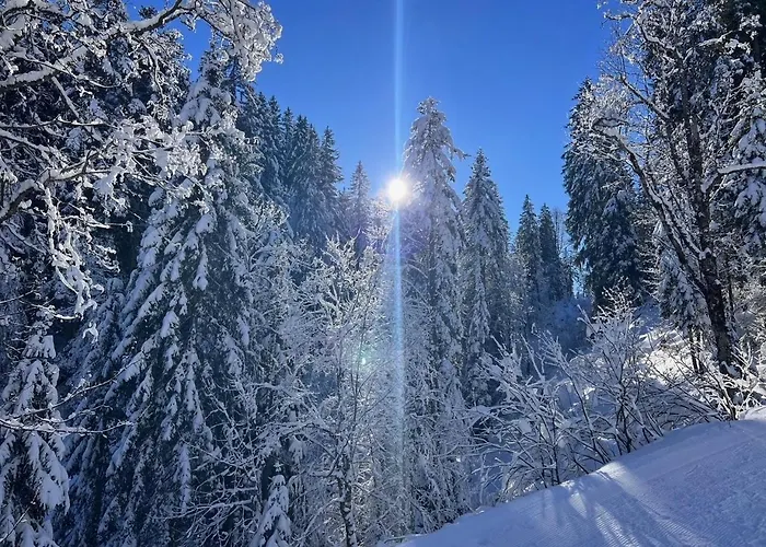 Staufen * Oberstaufen